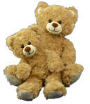 Teddy Bear Pals