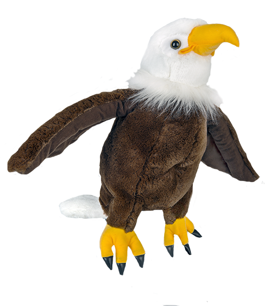Pre Order "Liberty" The Bald Eagle