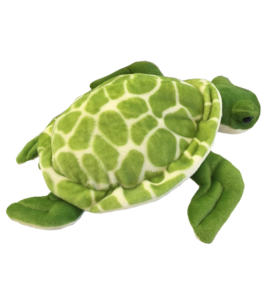 Mascot Sea Turtle