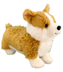 Corgi