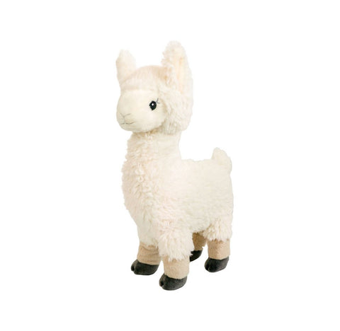Cute Llama