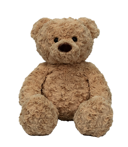 Sweet Honey Bear