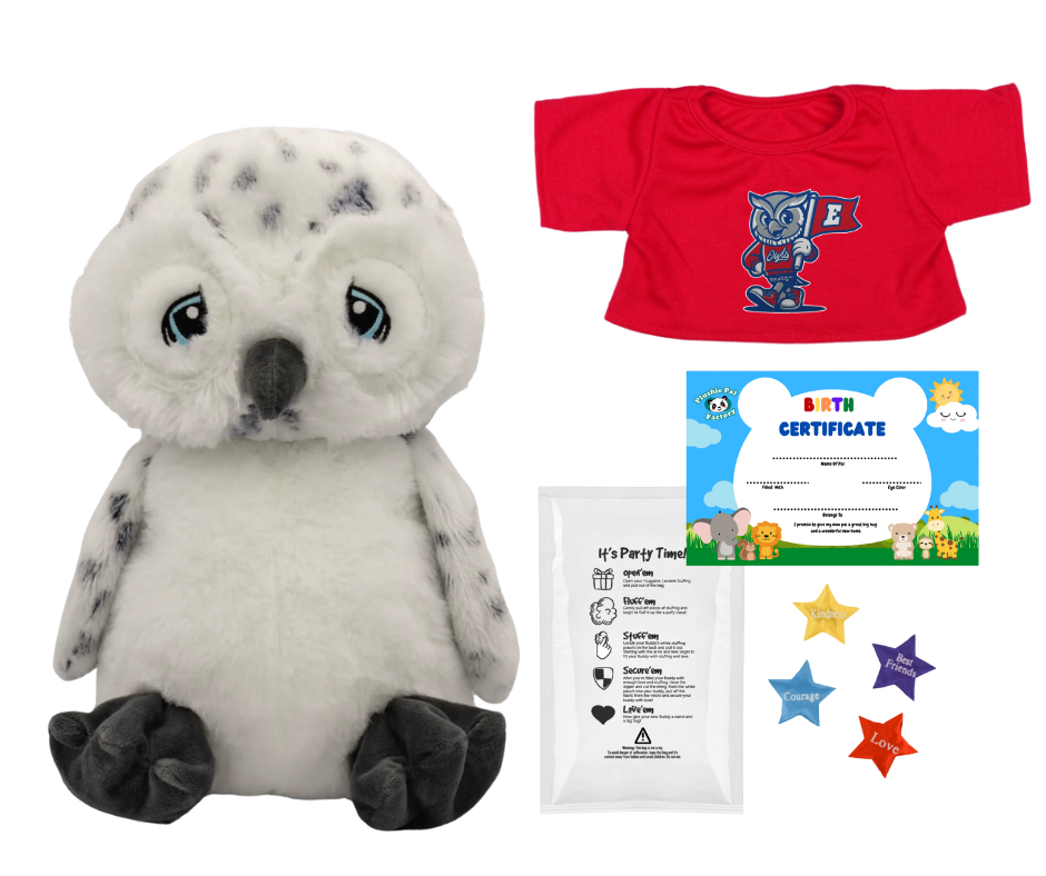 Everwood Elementary Stuff A Mascot Day
