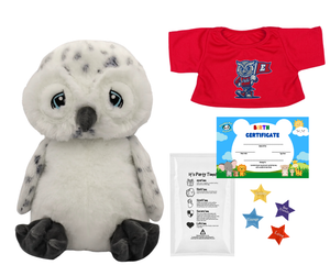 Everwood Elementary Stuff A Mascot Day