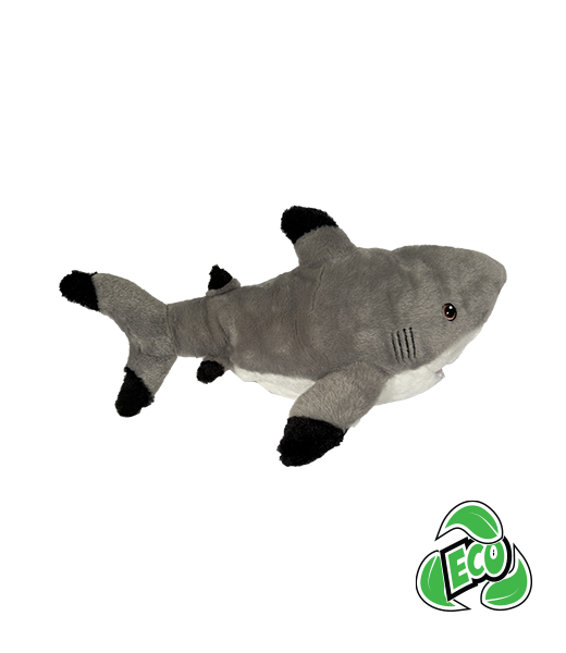 Black Tip Shark