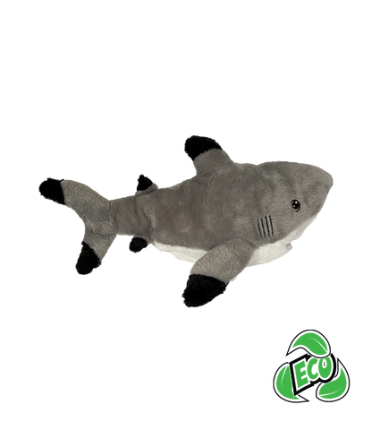 Black Tip Shark