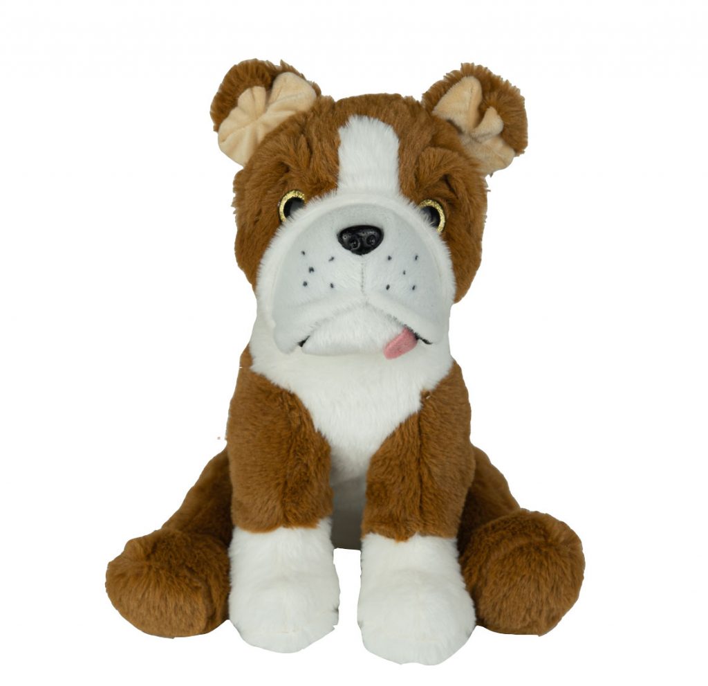 Cute Bulldog