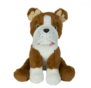 Cute Bulldog