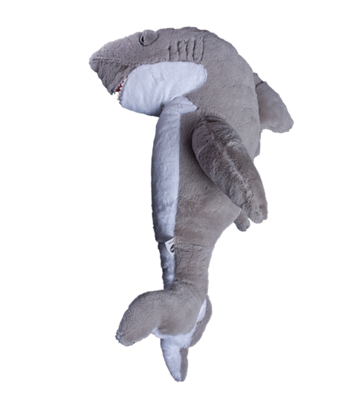 "Blu" The Shark